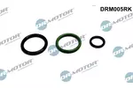 Zestaw naprawczy pompowtryskiwacz (PDE) DR.MOTOR AUTOMOTIVE DRM005RK