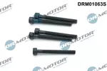 Śruba wtryskiwacza DR.MOTOR AUTOMOTIVE DRM01063S