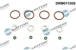 Zestaw uszczelek końcówki wtrysku DR.MOTOR AUTOMOTIVE DRM01126S
