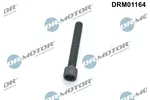 Śruba wtryskiwacza DR.MOTOR AUTOMOTIVE DRM01164