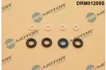 Zestaw naprawczy wtryskiwacza DR.MOTOR AUTOMOTIVE DRM01209S