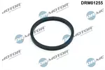 Uszczelka chłodnicy olejowej DR.MOTOR AUTOMOTIVE DRM01255 (Na dole)