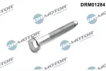 Śruba wtryskiwacza DR.MOTOR AUTOMOTIVE DRM01284