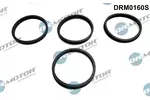 Zestaw uszczelek kolektora dolotowego DR.MOTOR AUTOMOTIVE DRM0160S