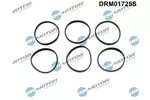 Zestaw uszczelek kolektora dolotowego DR.MOTOR AUTOMOTIVE DRM01725S