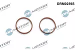 Zestaw uszczelek kolektora dolotowego DR.MOTOR AUTOMOTIVE DRM0259S