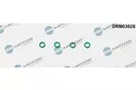 Uszczelnienie DR.MOTOR AUTOMOTIVE DRM0302S