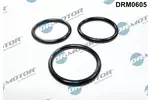 Uszczelka pompy wody DR.MOTOR AUTOMOTIVE DRM0605