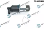 Zawór EGR DR.MOTOR AUTOMOTIVE DRM181101