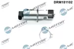 Zawór EGR DR.MOTOR AUTOMOTIVE DRM181102