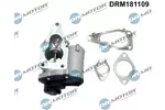 Zawór EGR DR.MOTOR AUTOMOTIVE DRM181109