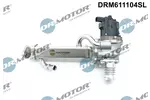 Zawór EGR DR.MOTOR AUTOMOTIVE DRM611104SL